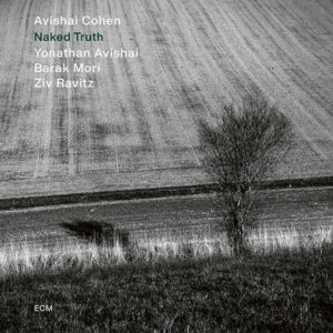 Avishai Cohen: Naked Truth