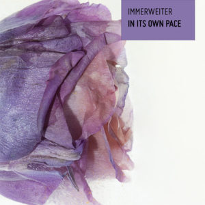 Julius Windisch: Immerweiter
