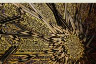 Kurt Elling & WDR Big Band: In the Brass Palace