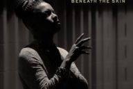 Nnenna Freelon: Beneath the Skin