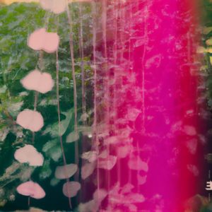 Snowpoet: Heartstrings