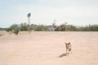 The Delines: Mr. Luck & Ms. Doom