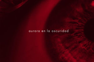 Barbara Baraldi: Aurora en la oscuridad