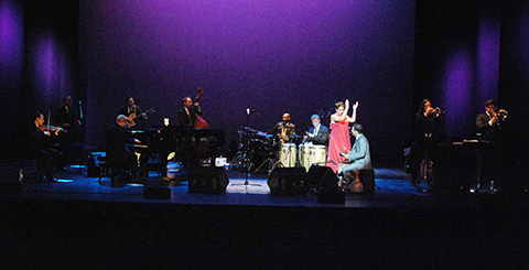 directos-off-jazz-pink_martini directos-off-jazz-pink_martini