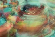 Carwyn Ellis & Rio18: Haf