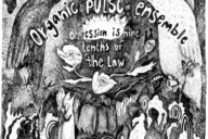 Organic Pulse Ensemble: Oppression is nine tenths of the law